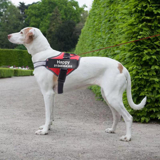Custom Reflective No Pull Adjustable Breathable Dog Harness
